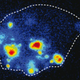 Image for article titled This Is a Heat Map of a Single, Living Cell